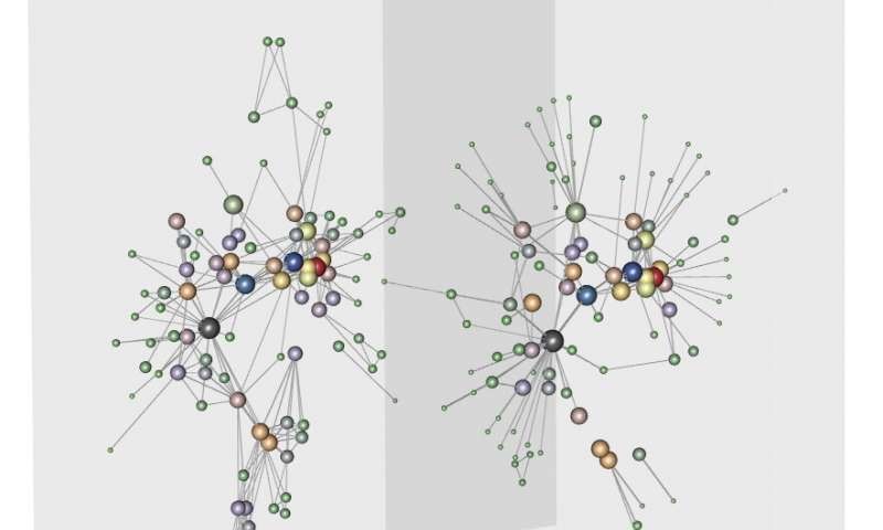 Social network analysis provides new insights on strategies to disrupt the Sicilian Mafia