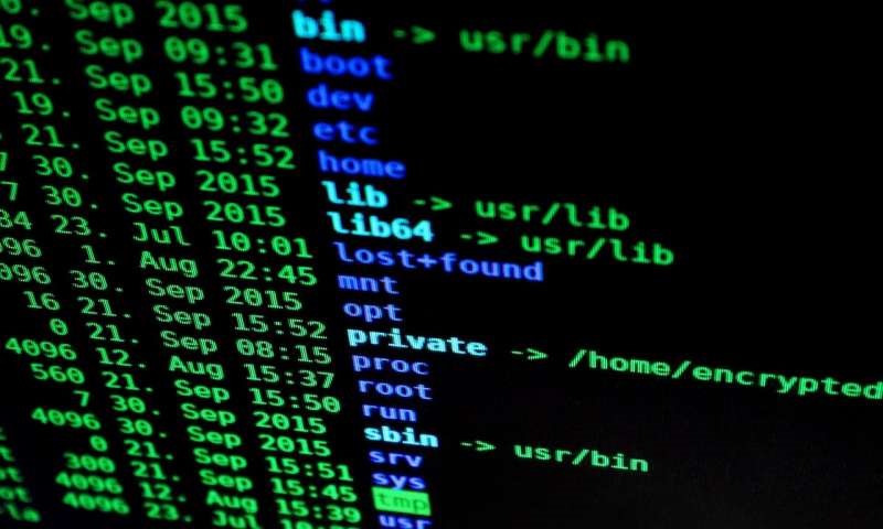 cyber crime
