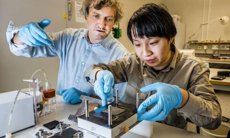 LiU researchers first to develop an organic battery