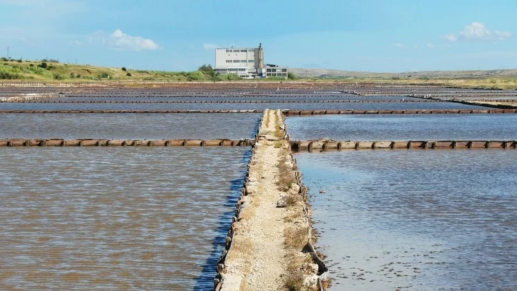 8 راه حل نواورانه خشکسالی 