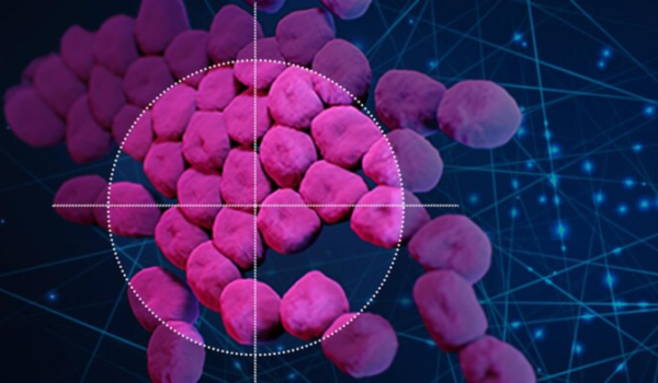 کشف دارویی که با هوش مصنوعی می تواند با عفونت های مقاوم مقابله کند.