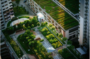 بام های سبز می توانند شهرها را خنک و در مصرف انرژی صرفه جویی کنند