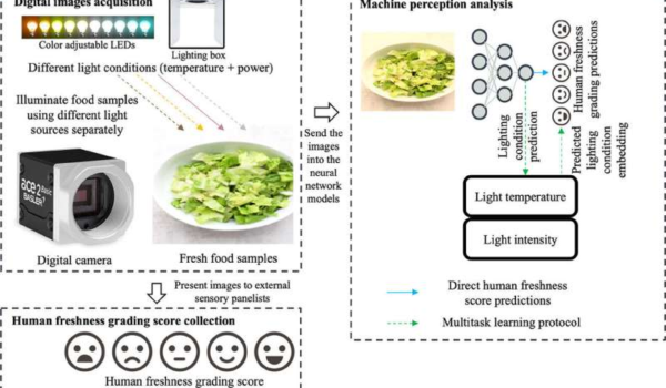 یک مطالعه پیشرفت هایی را در پیش بینی های کامپیوتری کیفیت غذا ارائه می دهد