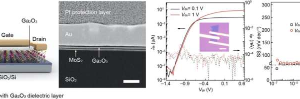 استراتژی جدید لایه های دی الکتریک ترانزیستور دو بعدی را تقویت می کند