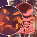 باکتری‌های روده ممکن است بدن را از مواد شیمیایی سمی PFAS پاکسازی کنند