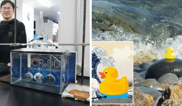 چوب‌های هیدروژلی در زیر آب با پتانسیل تحمل اجسام ۱۳۹ پوندی