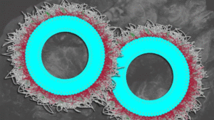 نانوذرات جدید به ایمونوتراپی کمک میکنند تا بیش از ۸۰٪ تومورهای تخمدان را از بین ببرد