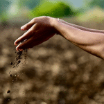 راز مقابله با بحران آب و هوا می تواند درست زیر پای ما باشد.