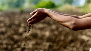 راز مقابله با بحران آب و هوا می تواند درست زیر پای ما باشد.