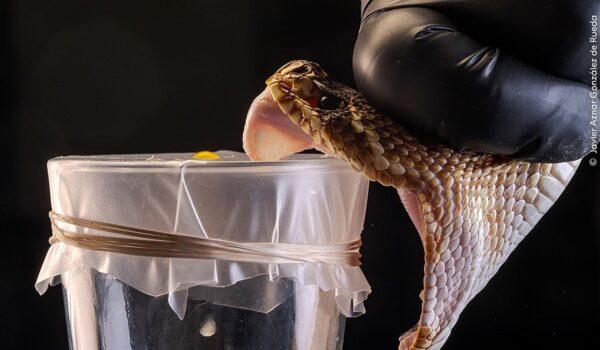 عکسهایی از برندگان عکاسی محیط زیست و حیات وحش 2025