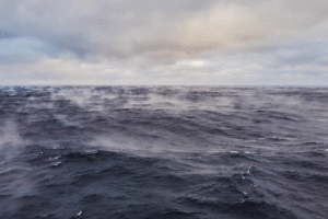 بدتر از پیش‌بینی‌ها: آب‌های ساحلی با سرعت نگران‌کننده‌ای اسیدی می‌شوند