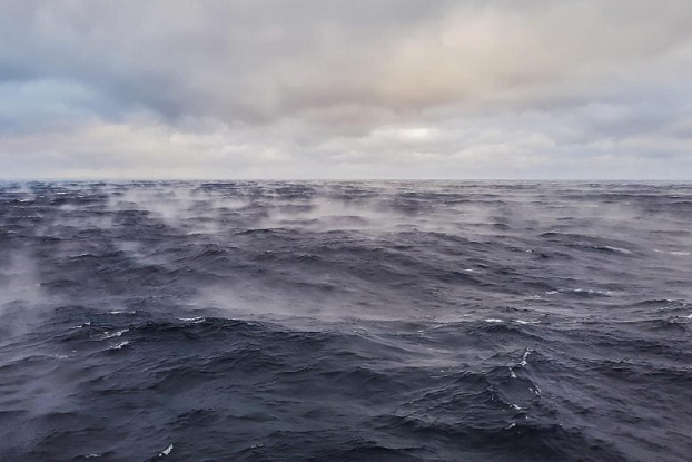 بدتر از پیش‌بینی‌ها: آب‌های ساحلی با سرعت نگران‌کننده‌ای اسیدی می‌شوند