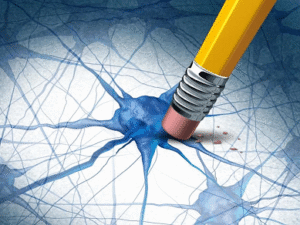 به گفته دانشمندان، این «گیاه معجزه‌آسا» می‌تواند به درمان بیماری آلزایمر کمک کند