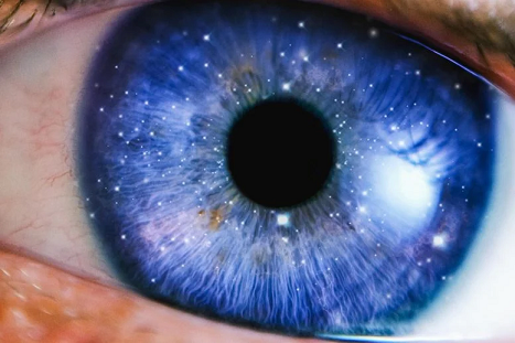 دانشمندان «هدف» تکاملی آگاهی را شناسایی کردند