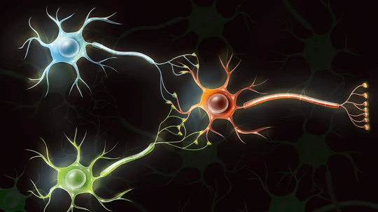 دانشمندان در حال تبدیل سلولهای مغز انسان به کامپیوترهای کاربردی هستند