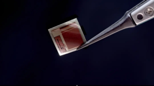 قرار دادن 65536 الکترود در تراشه مغزی به نازکی کاغذ برای جریان عصبی در زمان واقعی