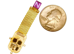 دانشمندان به مغز یاد میدهند که نور را به عنوان یک حس جدید بخواند