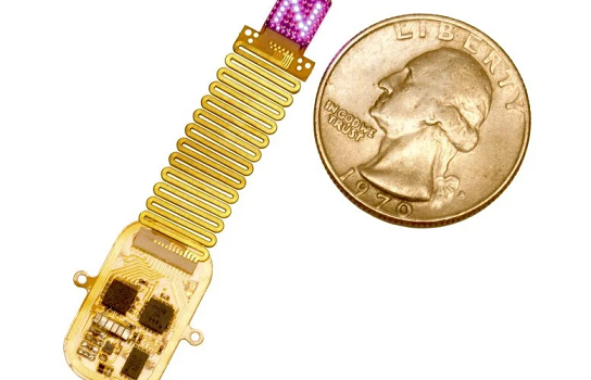 دانشمندان به مغز یاد می‌دهند که نور را به عنوان یک حس جدید بخواند