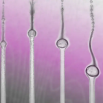 قطرات ریز روغن در حالی که در حال حرکت و معلق ماندن هستند، فیزیک را به چالش می‌کشند