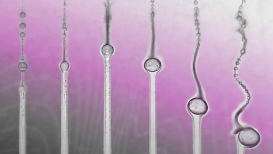 قطرات ریز روغن در حالی که در حال حرکت و معلق ماندن هستند، فیزیک را به چالش می‌کشند