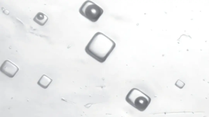 بلورهای نمک باستانی، آب و هوای زمین در ۱.۴ میلیارد سال پیش را روشن میکنند