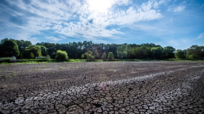نگهبانان آب از زباله‌های آبگرم حرارتی برای نجات مزارع خشک مجارستان استفاده می‌کنند.