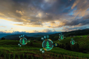 دانشمندان در حال تبدیل ضایعات غذایی به طلای کشاورزی و دستاوردهای سلامتی هستند