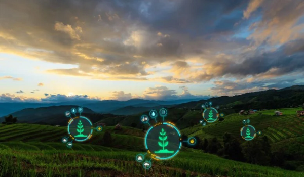 دانشمندان در حال تبدیل ضایعات غذایی به طلای کشاورزی و دستاوردهای سلامتی هستند